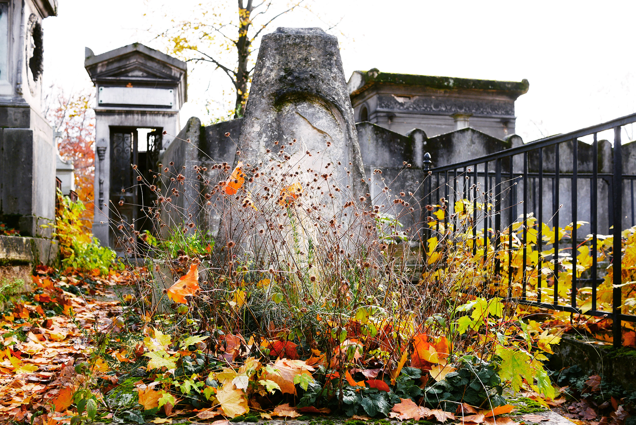 frostpunk cemetery or corpse disposal